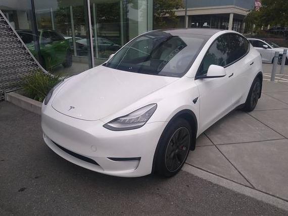TESLA MODEL Y 2021 5YJYGDEE1MF264782 image
